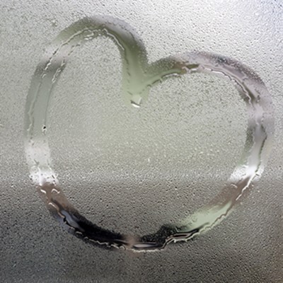 シングル/I Gave My Love a Cherry/morikin love