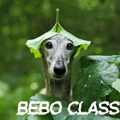 El Perrito/Bebo Class