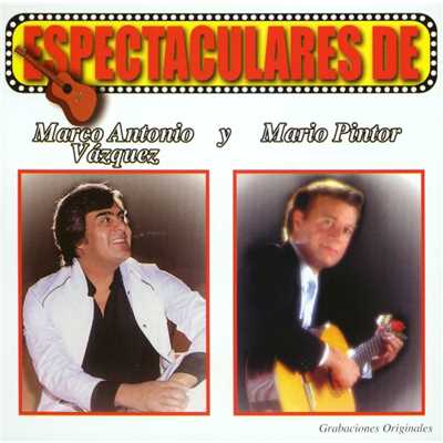 Espectaculares de Marco Antonio Vazquez y Mario Pintor/Various Artists