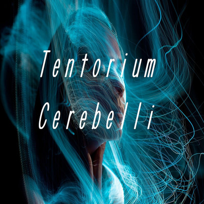 アルバム/Tentorium Cerebelli/Pain associate sound