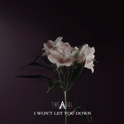 シングル/I won't let you down/THE AGUL