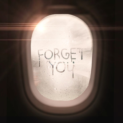 シングル/Forget You (Explicit)/Jake Cornell
