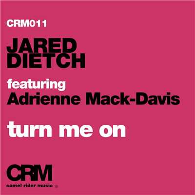 シングル/Turn Me On (feat. Adrienne Mack-Davis) [Adrien Mezsi Dub]/Jared Dietch
