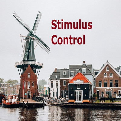アルバム/Stimulus Control/Fastigial cortex