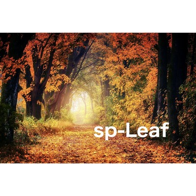 sp-Leaf/AKIBA