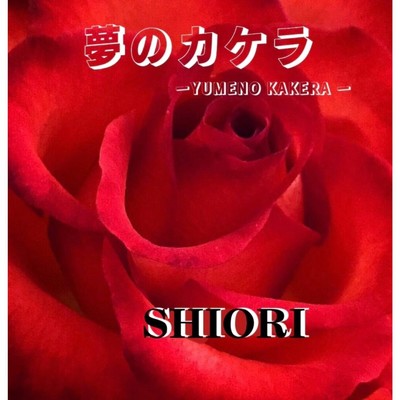 夢のカケラ/SHIORI