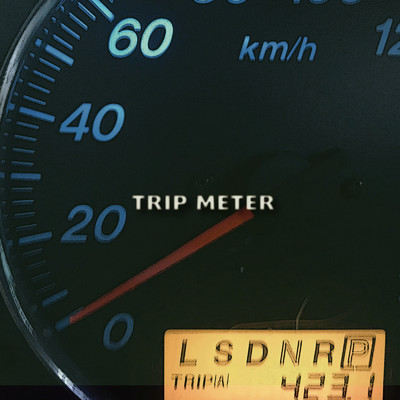 TRIP METER (feat. Seba)/SPRA