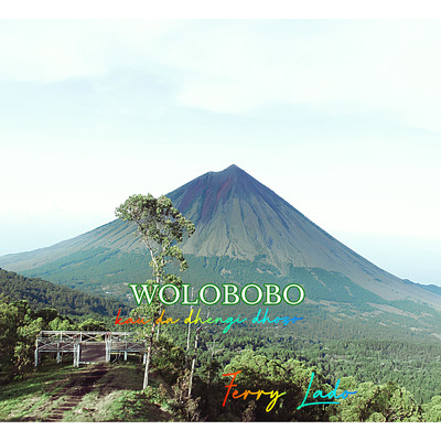 シングル/Wolobobo (Kau Da Dhengi Dhozo)/Ferry Lado