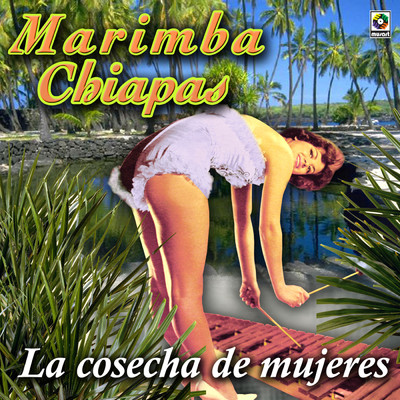 アルバム/La Cosecha De Mujeres/Marimba Chiapas