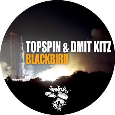 シングル/Blackbird (Original Mix)/Topspin & Dmit Kitz