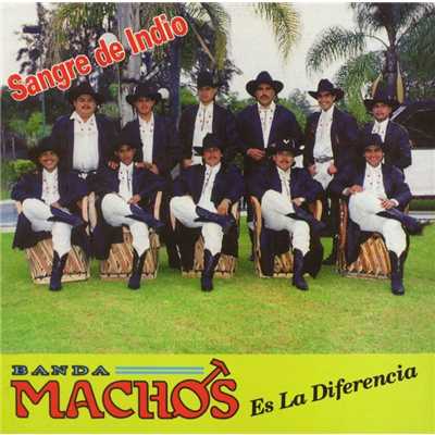 Escuadras del sur/Banda Machos