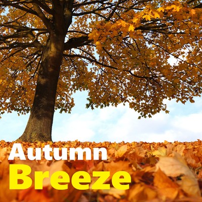 Autumn Breeze/Danto