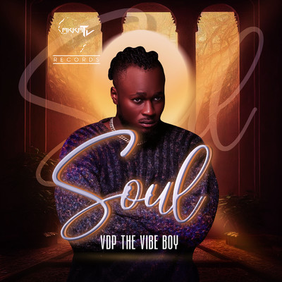 Soul/VDP The Vibeboy