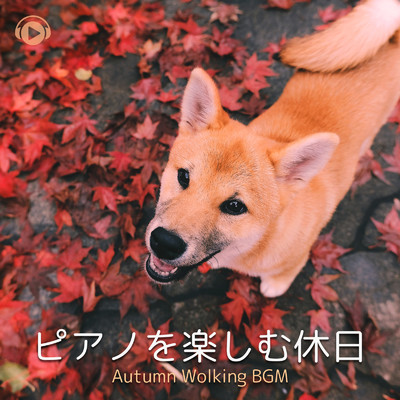 take autumn (feat. Tamatsukuri Seiji)/ALL BGM CHANNEL
