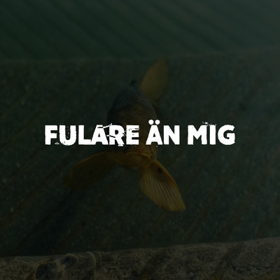 Fulare an mig/Rasmus Gozzi／Louise Andersson Bodin