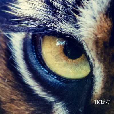 アルバム/Tiger-J/Tiger-J