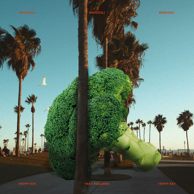 Broccoli (feat. Youjjang)/Trippy Kev