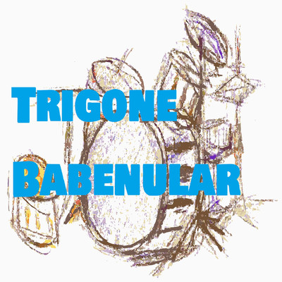 アルバム/Trigone Babenular/Agnosia fact