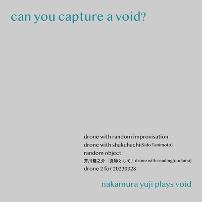 can you capture a void/nakamura yuji