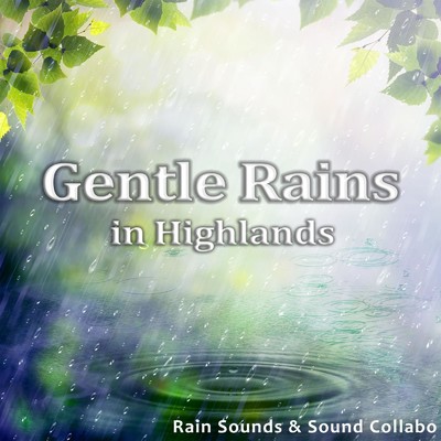 静かな雨と森の鳥/雨の音 & サウンド・コラボ