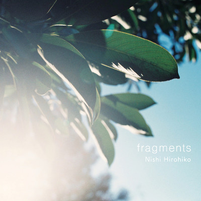 fragments/西 洋彦