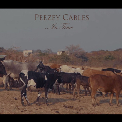 In Time/Peezey Cables