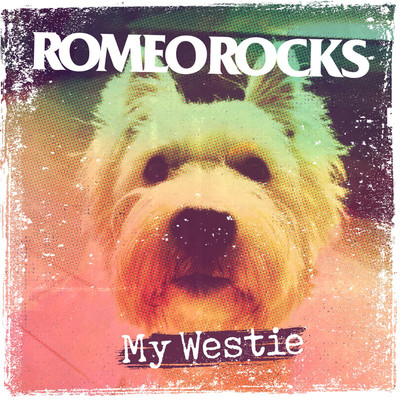 My Westie/ROMEOROCKS