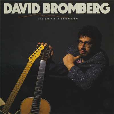 Sideman Serenade/David Bromberg