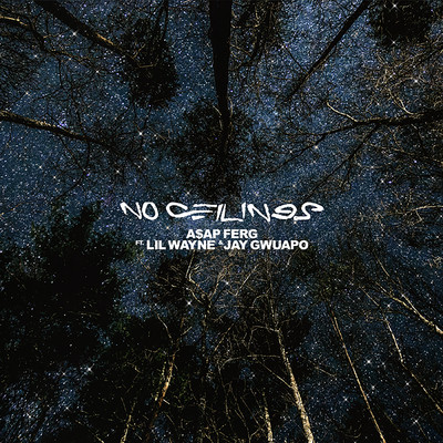 No Ceilings (Explicit) feat.Lil Wayne,Jay Gwuapo/A$AP Ferg
