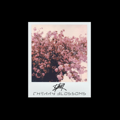 Cherry Blossoms/LIREIZ