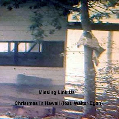 Christmas in Hawaii (feat. Walter Egan)/Missing Link Us