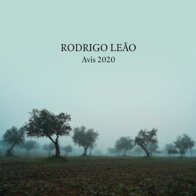 アルバム/Avis 2020/Rodrigo Leao