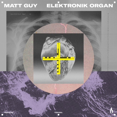 Elektronik Organ (Extended Mix)/Matt Guy