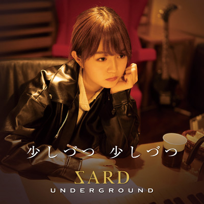 アルバム/少しづつ 少しづつ【通常盤】/SARD UNDERGROUND