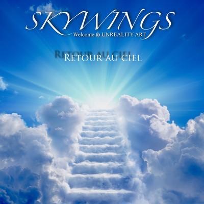 Retour au ciel/SKYWINGS