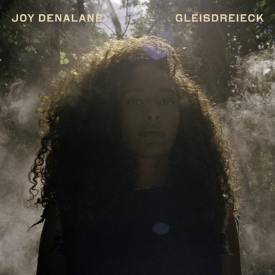 Gleisdreieck (Deluxe Edition)/Joy Denalane