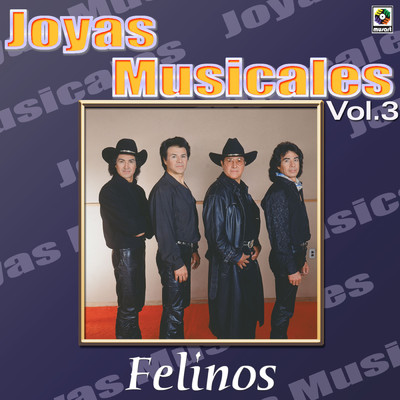 アルバム/Joyas Musicales: Se Ponen Romanticos, Vol. 3/Los Felinos