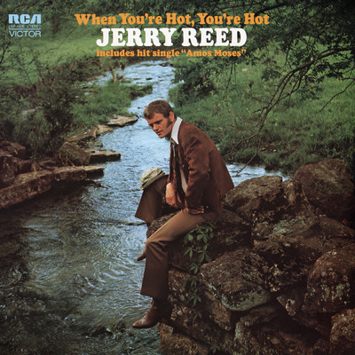 アルバム/When You're Hot, You're Hot/Jerry Reed