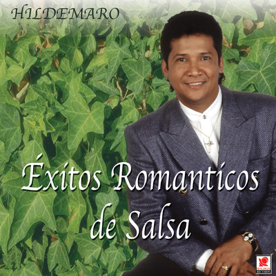 アルバム/Exitos Romanticos De Salsa/Hildemaro