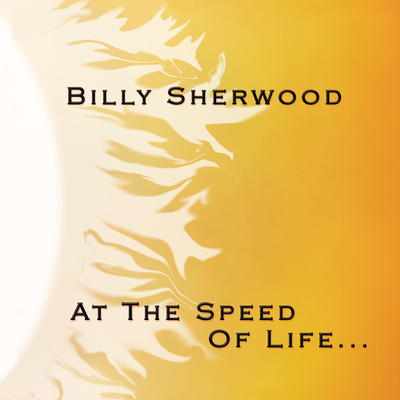 アルバム/At the Speed of Life/Billy Sherwood
