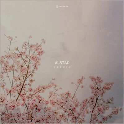 Sakura/Alstad