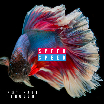 Night Of An Angel/NOT FAST ENOUGH