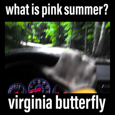 Virginia Butterfly/What is Pink Summer？