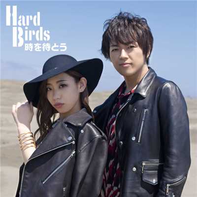 シングル/二度目の人生(オリジナルカラオケ)/HardBirds