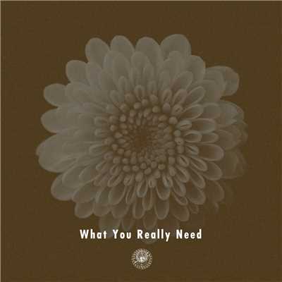 シングル/What You Really Need (feat. Miraa May)/AmPm