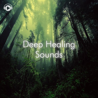 Deep Healing Sounds -自然と集中力が高まるヒーリングミュージック-/ALL BGM CHANNEL