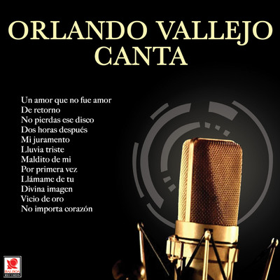 Un Amor Que No Fue Amor/Orlando Vallejo