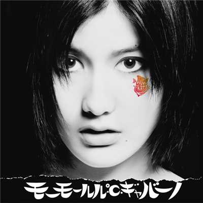 アルバム/モーモールル・℃・ギャバーノ(通常盤)/モーモールルギャバン