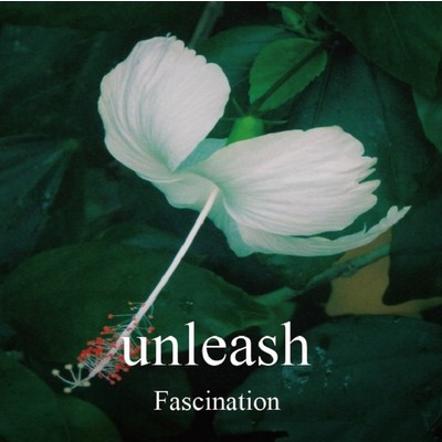 Fascination/unleash
