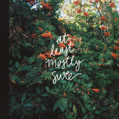 At Least Mostly Sure/Abby Meysenburg